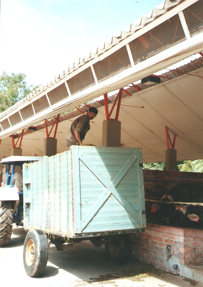 remolques agrícolas 24 cisternas plataformas porta contenedores galera esparcidores de estiércol remolque esparcidor plataformas remolcador para transporte agrícola basculantes plataformas o zorra vagones volteo remolques agrícolas 24 cisternas plataformas porta contenedores galera esparcidores de estiércol remolque esparcidor plataformas remolcador para transporte agrícola basculantes plataformas o zorra vagones volteo remolques agrícolas 24 cisternas plataformas porta contenedores galera esparcidores de estiércol remolque esparcidor plataformas remolcador para transporte agrícola basculantes plataformas o zorra vagones volteo